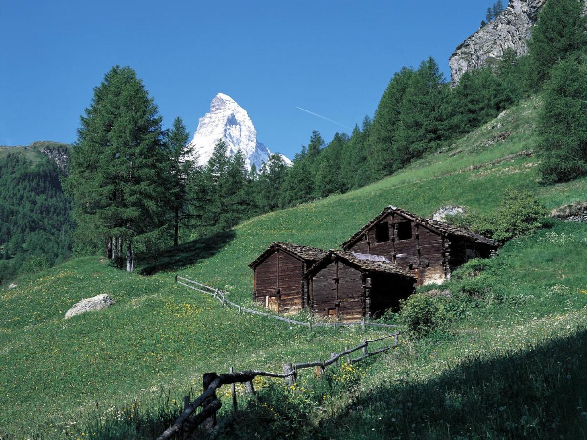 Apartment Select By Interhome Zermatt Zewnętrze zdjęcie