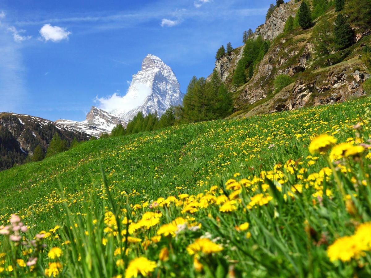 Apartment Select By Interhome Zermatt Zewnętrze zdjęcie